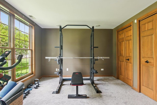1560 Fairway Cir, Geneva, IL 60134 - workout area with carpet and baseboards