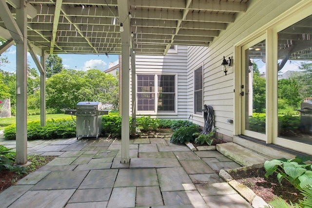 1560 Fairway Cir, Geneva, IL 60134 - view of patio / terrace with grilling area