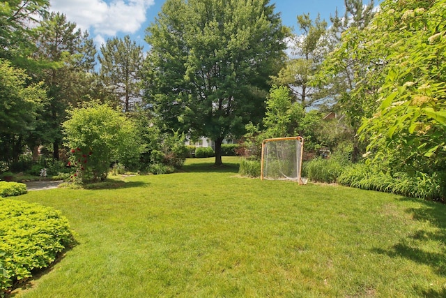 1560 Fairway Cir, Geneva, IL 60134 - view of yard
