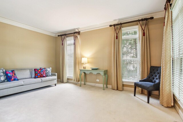 1560 Fairway Cir, Geneva, IL 60134 - living area featuring ornamental molding and carpet