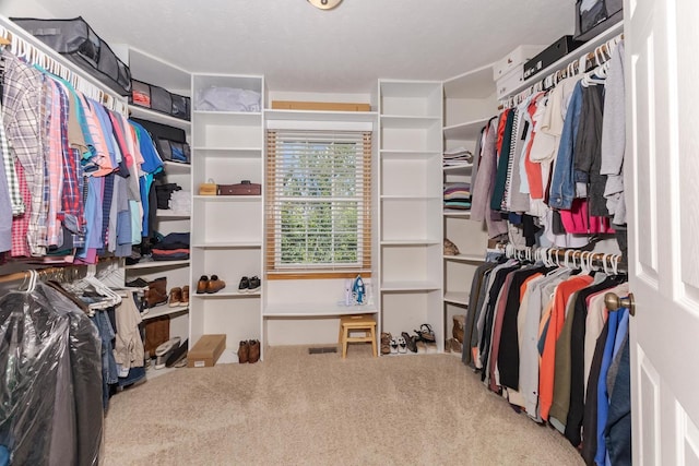 1608 Surrey St, Normal, IL 61761 - spacious closet with carpet