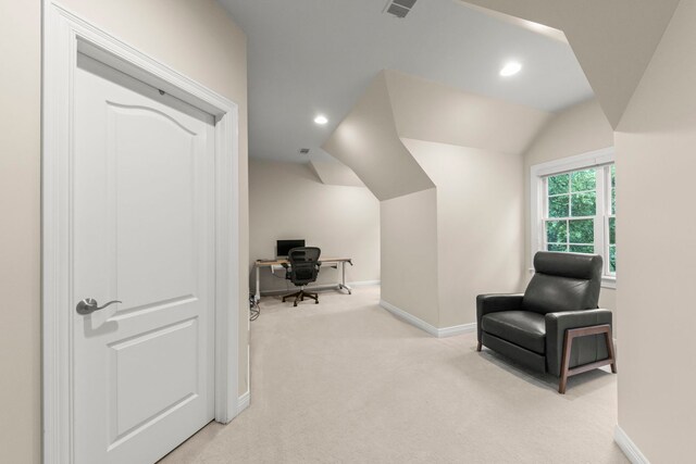 1207 Bonnema Ct, Naperville, IL 60565 - photo 26
