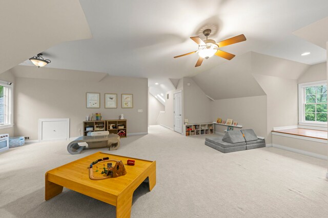 1207 Bonnema Ct, Naperville, IL 60565 - photo 35
