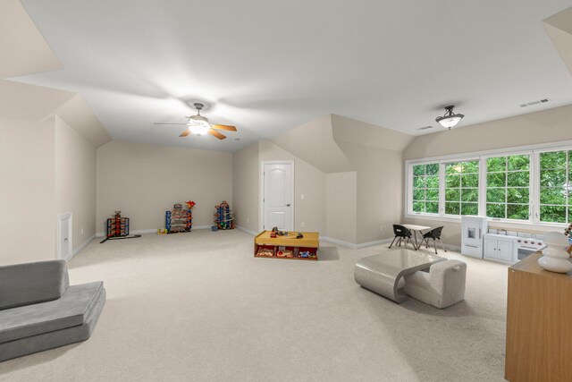 1207 Bonnema Ct, Naperville, IL 60565 - photo 36