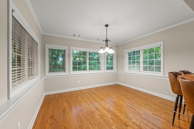 1207 Bonnema Ct, Naperville, IL 60565 - photo 42