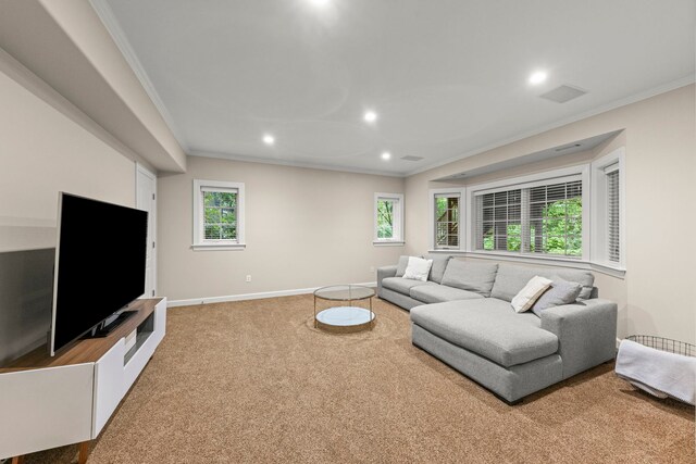 1207 Bonnema Ct, Naperville, IL 60565 - photo 44