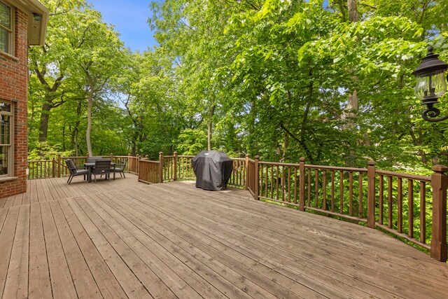 1207 Bonnema Ct, Naperville, IL 60565 - photo 47