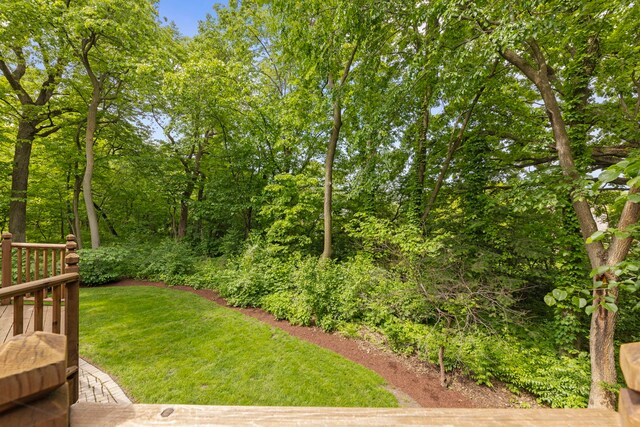 1207 Bonnema Ct, Naperville, IL 60565 - photo 49