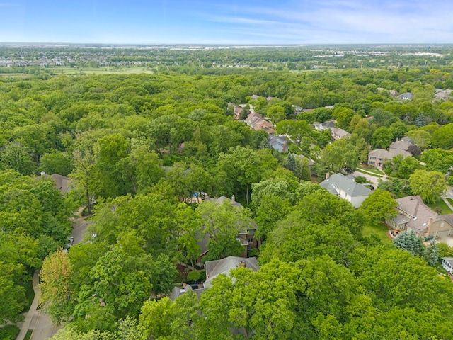 1207 Bonnema Ct, Naperville, IL 60565 - photo 58