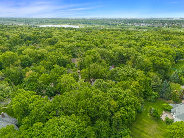 1207 Bonnema Ct, Naperville, IL 60565 - photo 59