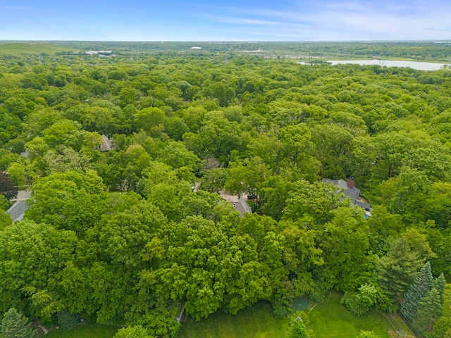 1207 Bonnema Ct, Naperville, IL 60565 - photo 60
