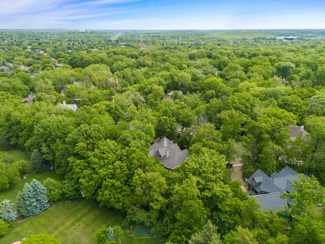 1207 Bonnema Ct, Naperville, IL 60565 - photo 61