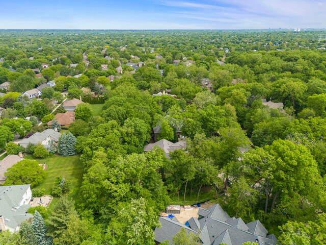 1207 Bonnema Ct, Naperville, IL 60565 - photo 62