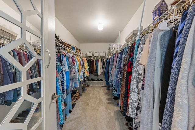 15431 Sulky Dr, Homer Glen, IL 60491 - walk in closet featuring carpet floors