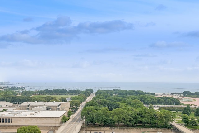 310 S Michigan Ave Unit 1804, Chicago, IL 60604 - bird's eye view of a large body of water