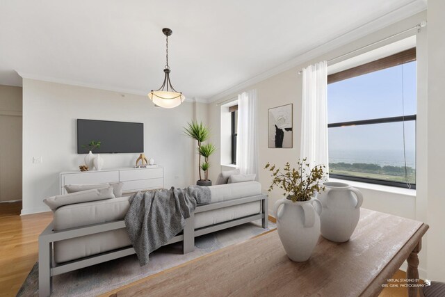 310 S Michigan Ave Unit 1804, Chicago, IL 60604 - living area with wood finished floors and ornamental molding