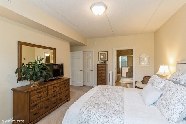 50 S Greeley St Unit 314, Palatine, IL 60067 - bedroom featuring light carpet and connected bathroom