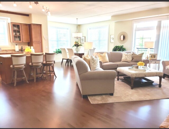 50 S Greeley St Unit 314, Palatine, IL 60067 - living room featuring wood finished floors and a chandelier
