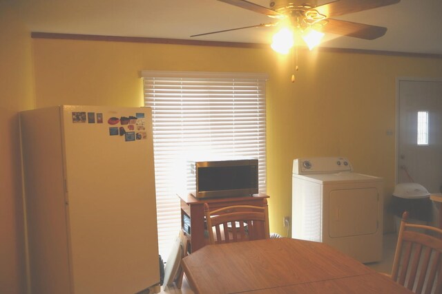15153 Harding Ave, Midlothian, IL 60445 - photo 11
