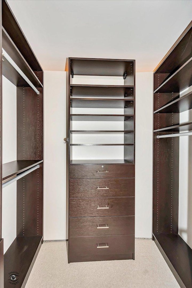 910 S Michigan Ave Unit 1712, Chicago, IL 60605 - spacious closet with carpet floors