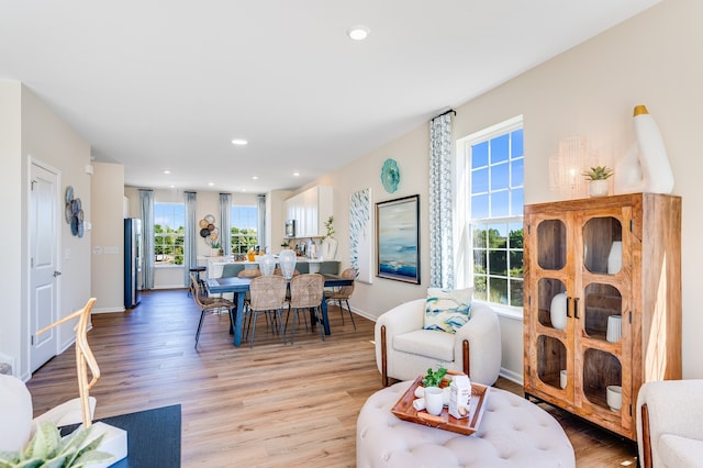 1509 Neubauer Cir Unit 801, Lindenhurst, IL 60046 - living room featuring healthy amount of natural light, light wood-style floors, and recessed lighting