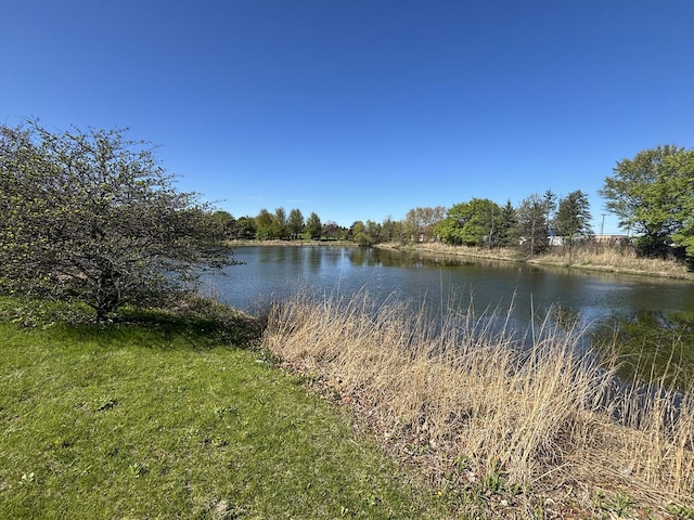 1509 Neubauer Cir Unit 801, Lindenhurst, IL 60046 - water view