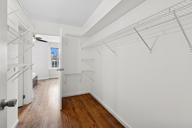 40 E 9th St Unit 1609, Chicago, IL 60605 - spacious closet with wood finished floors and a ceiling fan