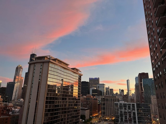 40 E 9th St Unit 1609, Chicago, IL 60605 - skyline view