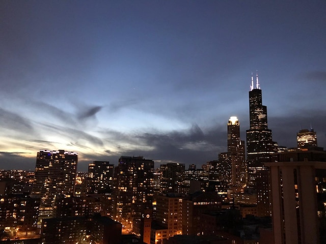 40 E 9th St Unit 1609, Chicago, IL 60605 - skyline view