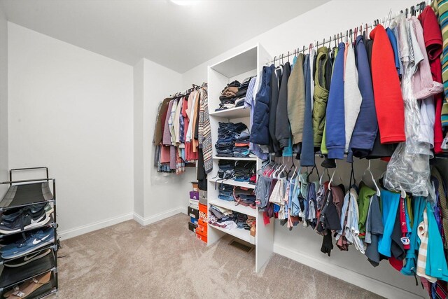 5227 Cobblers Xing Unit 5227, Mchenry, IL 60050 - spacious closet with carpet floors