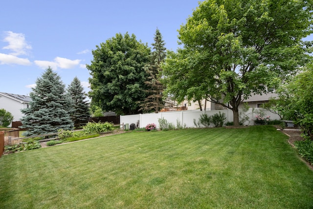 145 Barnes Rd, Elgin, IL 60124 - view of yard