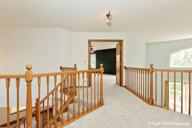 179 Cascade Dr, Crystal Lake, IL 60012 - hallway with an upstairs landing and carpet