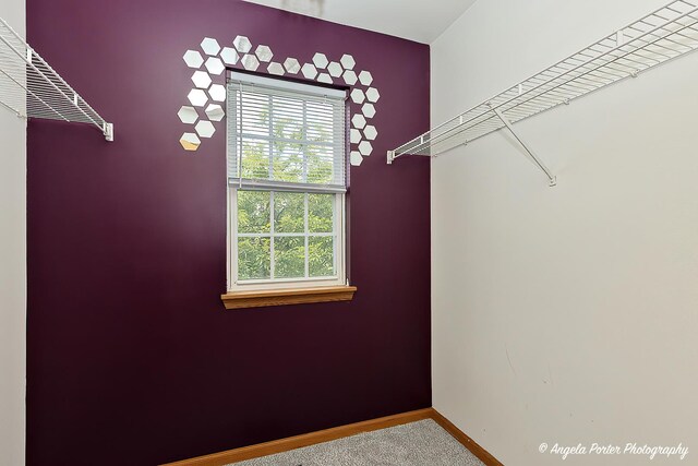179 Cascade Dr, Crystal Lake, IL 60012 - walk in closet featuring carpet flooring