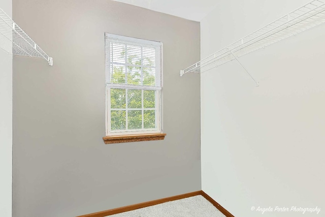 179 Cascade Dr, Crystal Lake, IL 60012 - walk in closet with carpet flooring