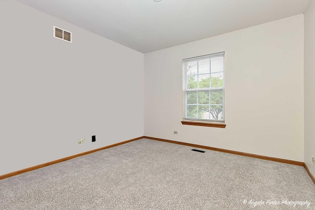 179 Cascade Dr, Crystal Lake, IL 60012 - spare room featuring carpet and baseboards