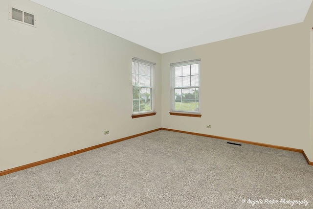 179 Cascade Dr, Crystal Lake, IL 60012 - spare room with carpet