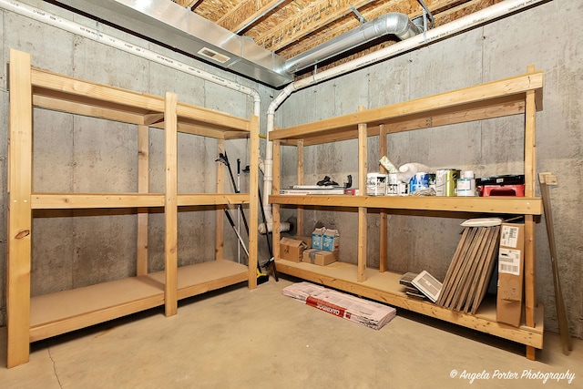 179 Cascade Dr, Crystal Lake, IL 60012 - view of storage area