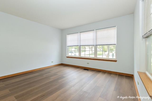 179 Cascade Dr, Crystal Lake, IL 60012 - unfurnished room featuring wood finished floors and baseboards