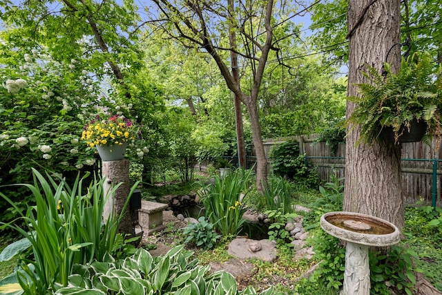 2951 Colfax St, Evanston, IL 60201 - view of yard