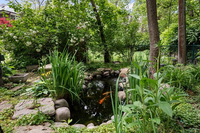 2951 Colfax St, Evanston, IL 60201 - view of local wilderness