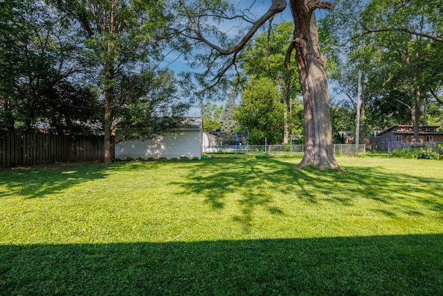 103 N Adelaide St, Normal, IL 61761 - fenced backyard featuring a trampoline