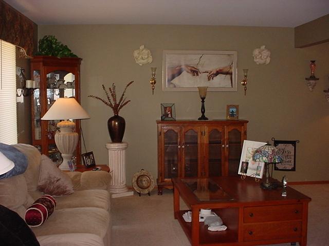 812 Grumman Ct, New Lenox, IL 60451 - photo 5