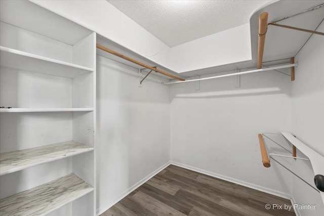2000 Saint Regis Dr Unit 1D, Lombard, IL 60148 - walk in closet with wood finished floors