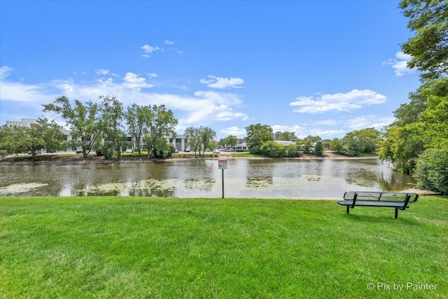 2000 Saint Regis Dr Unit 1D, Lombard, IL 60148 - water view