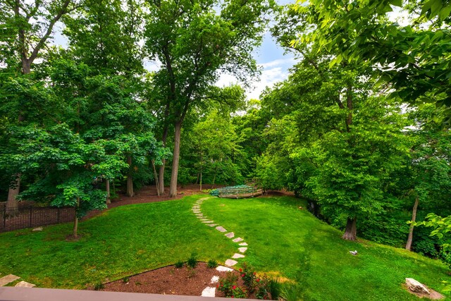 603 Driftwood Ct, Naperville, IL 60540 - photo 46
