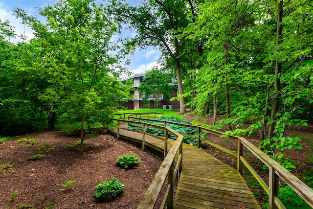 603 Driftwood Ct, Naperville, IL 60540 - photo 62