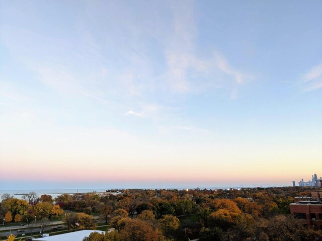 4950 N Marine Dr Unit 1105, Chicago, IL 60640 - bird's eye view