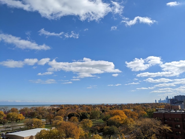 4950 N Marine Dr Unit 1105, Chicago, IL 60640 - drone / aerial view