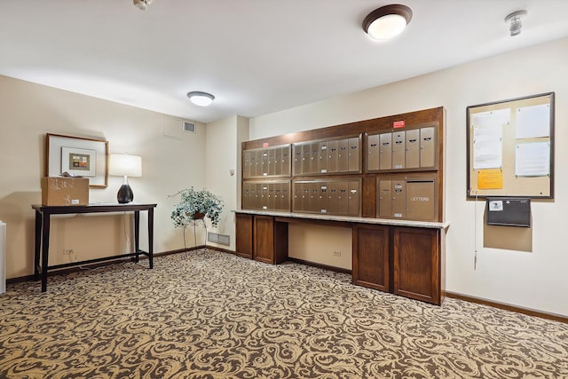 1105 N Mill St Unit 215, Naperville, IL 60563 - surrounding community featuring mail area