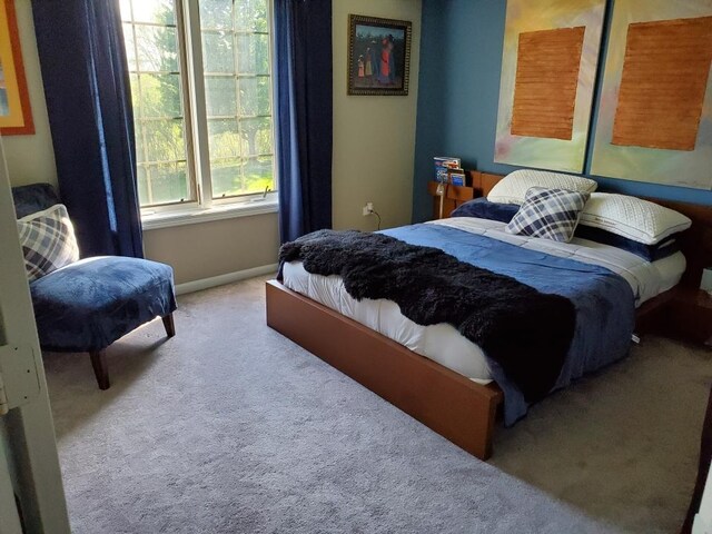 6743 S Pointe Dr Unit 1C, Tinley Park, IL 60477 - bedroom featuring carpet floors and baseboards